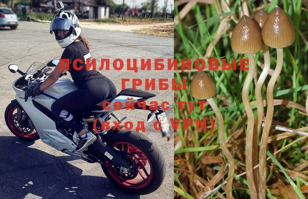 СК Горняк
