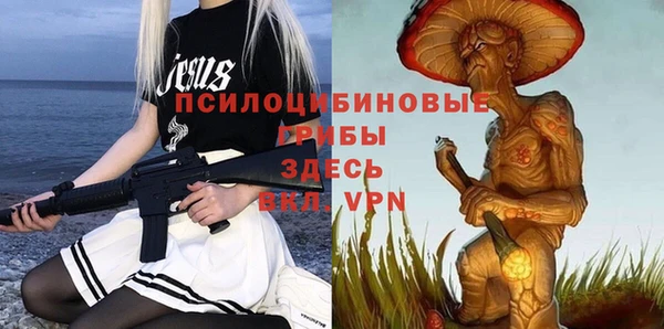 бошки Горнозаводск