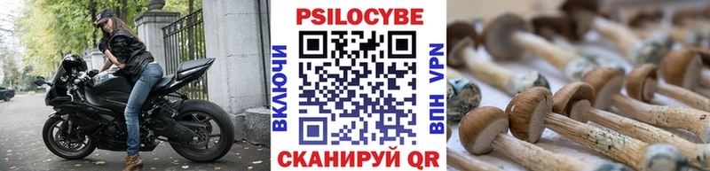 Купить закладки  Назарово  Псилоцибиновые грибы мицелий 